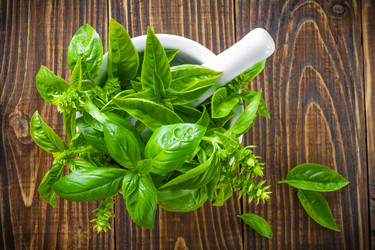 Similar image 11447696