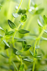 Similar image 11448154