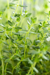 Similar image 11448155