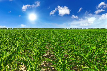 Similar image 11448315