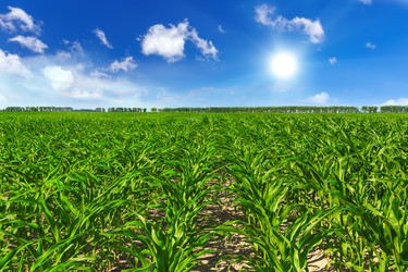 Similar image 11448374