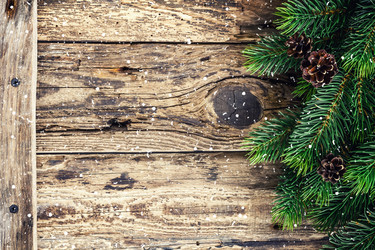 Similar image 11449014