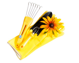 Similar image 11445359