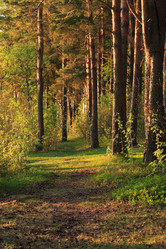 Similar image 11446141