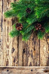 Similar image 11447596