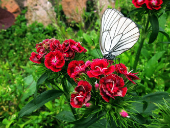 Similar image 11445302