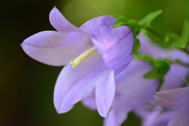 Similar image 11446099