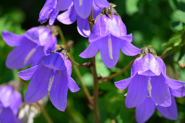 Similar image 11445318