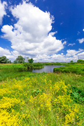 Similar image 11448455