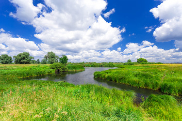 Similar image 11448318