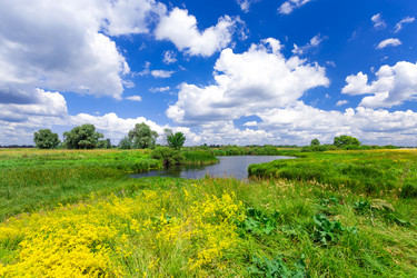 Similar image 11448335