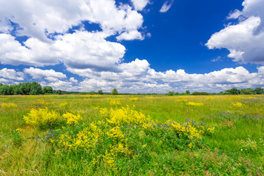 Similar image 11448357