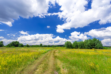 Similar image 11448479