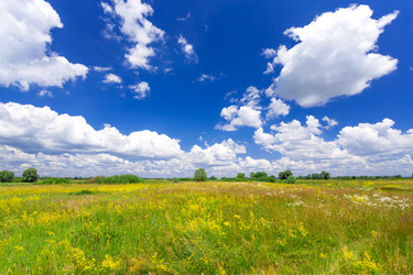 Similar image 11448572