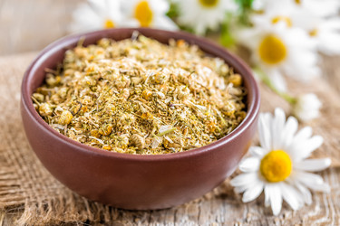 Similar image 11448496