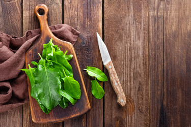 Similar image 11448975