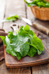 Similar image 11448995