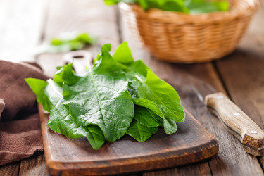 Similar image 11448996