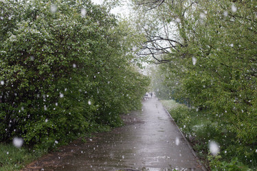 Similar image 11446106