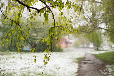 Similar image 11446116