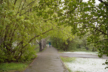 Similar image 11446118