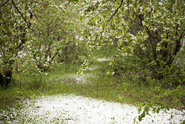 Similar image 11446121