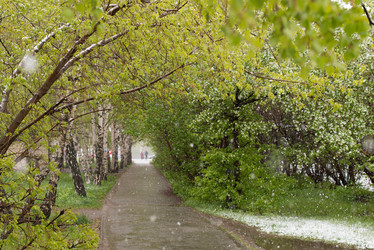 Similar image 11446124