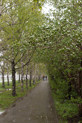 Similar image 11446125