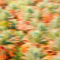 Similar image 11447129