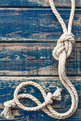 Similar image 11447703