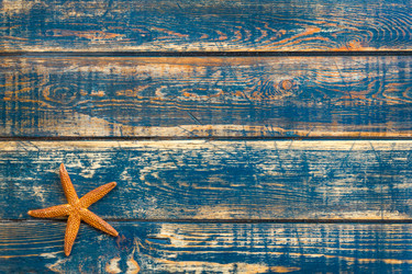 Similar image 11447822