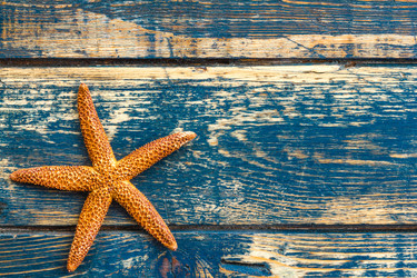 Similar image 11448258