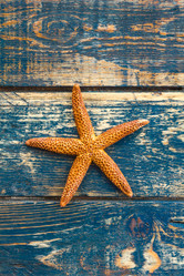 Similar image 11448201