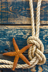 Similar image 11448278