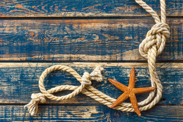 Similar image 11448461