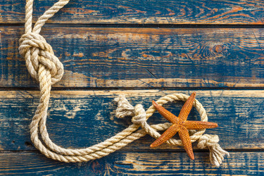 Similar image 11448462