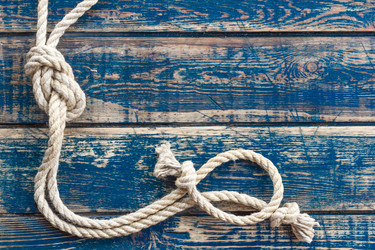 Similar image 11448323