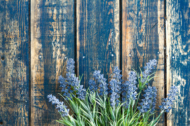 Similar image 11448340