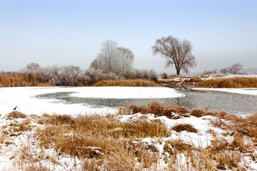 Similar image 11448342