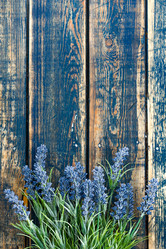 Similar image 11448381