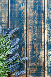 Similar image 11448383