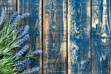 Similar image 11448403