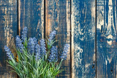 Similar image 11448404