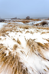 Similar image 11448422