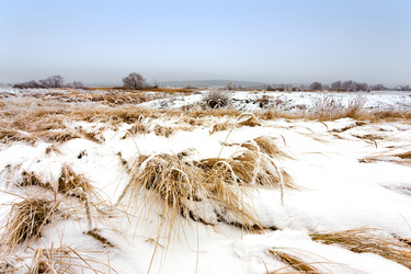 Similar image 11448539