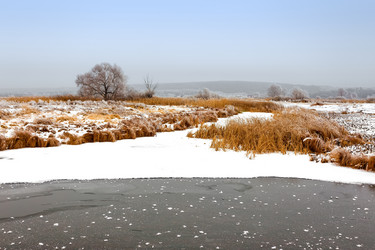 Similar image 11448541