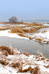 Similar image 11448481