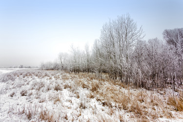 Similar image 11448560