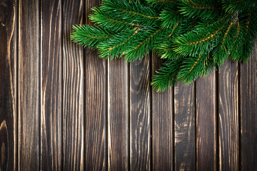 Similar image 11448241