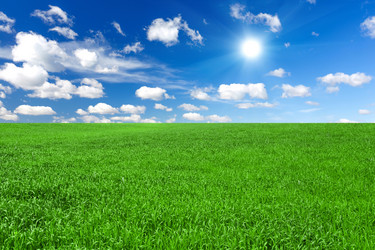 Similar image 11448261